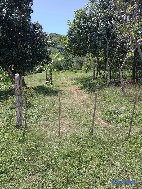 solares y terrenos - Finca productiva en venta en Las Cuchillas, El Seibo 5