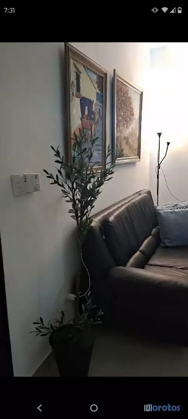 apartamentos - Apartamento Arroyo Hondo  2