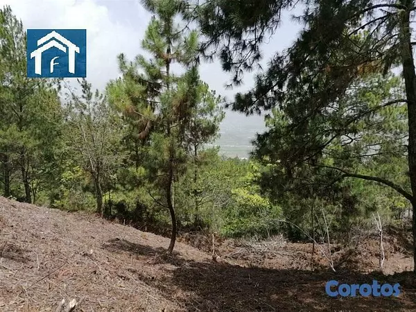 solares y terrenos - Solar en Constanza Rancho Guaraguao de 10591 metros 9