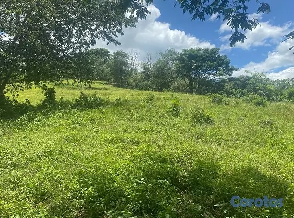 solares y terrenos - FINCA 2