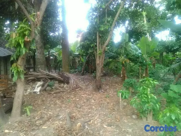 solares y terrenos - Venta propiedad en centro de JARABACOA 1250 metros cuadrados
 2