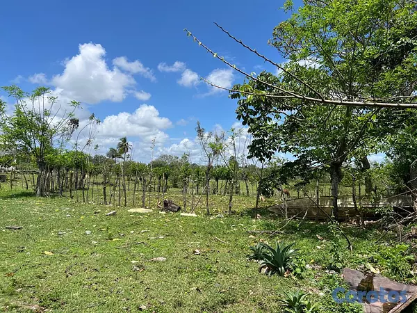 solares y terrenos - Vendo Terreno para NAVES en PEDRO BRAND, 45,881 Mt 3