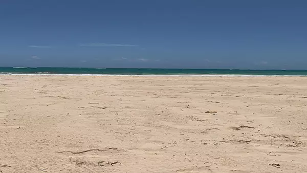 apartamentos - Alquiler Apto Amueblado en Punta Cana 4