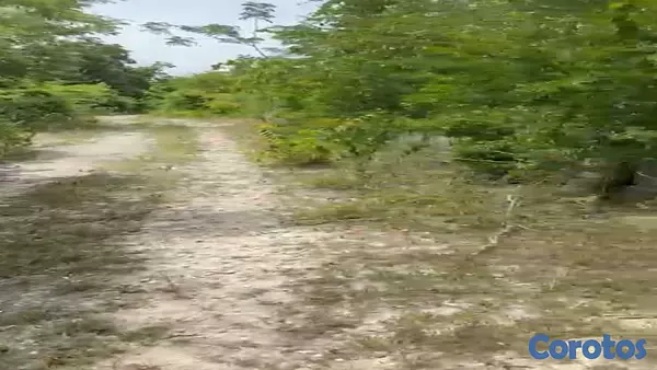 solares y terrenos - Solares con Título en Guayacanes 7