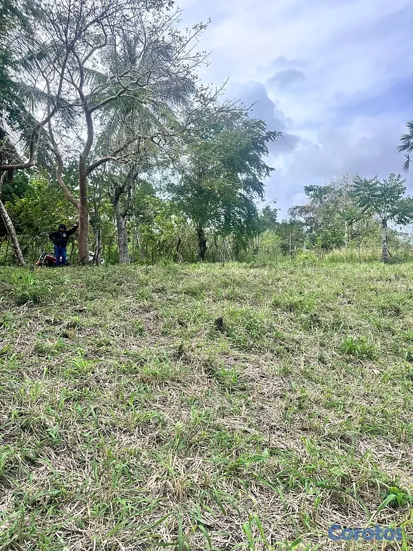 solares y terrenos - Terreno ( Finquita) 700 metros ubicado en bajos de Haina , sector el carril . 6