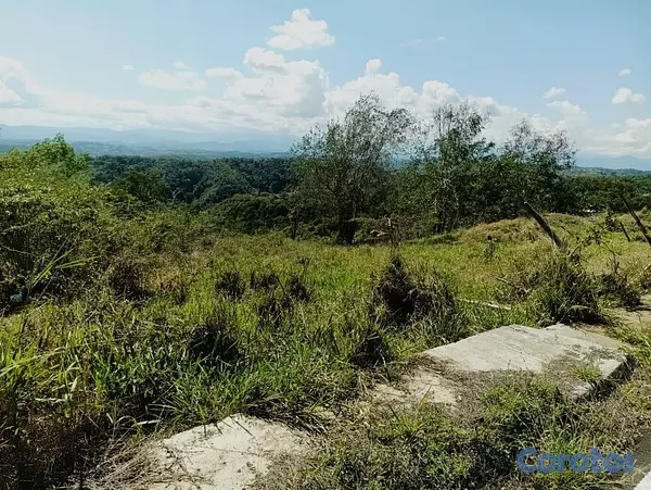 solares y terrenos - Terreno 80 Tareas de Venta en San Jose de Las Matas 3