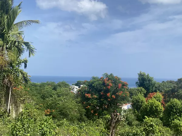 solares y terrenos - solar de venta en los cerros de Sosau  3