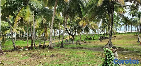 solares y terrenos - Solares en Nagua 3