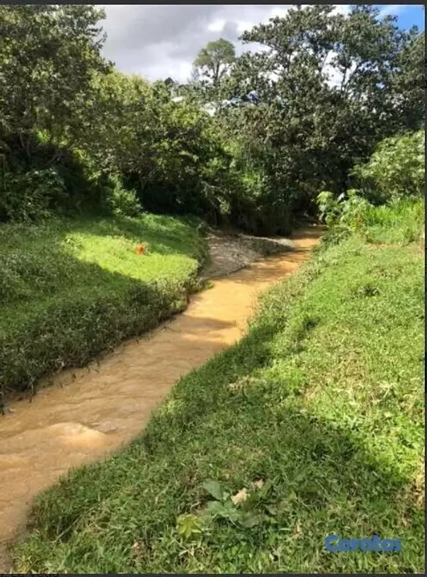 solares y terrenos - Finca en Constanza de 796 tareas con titulo y deslinde  2