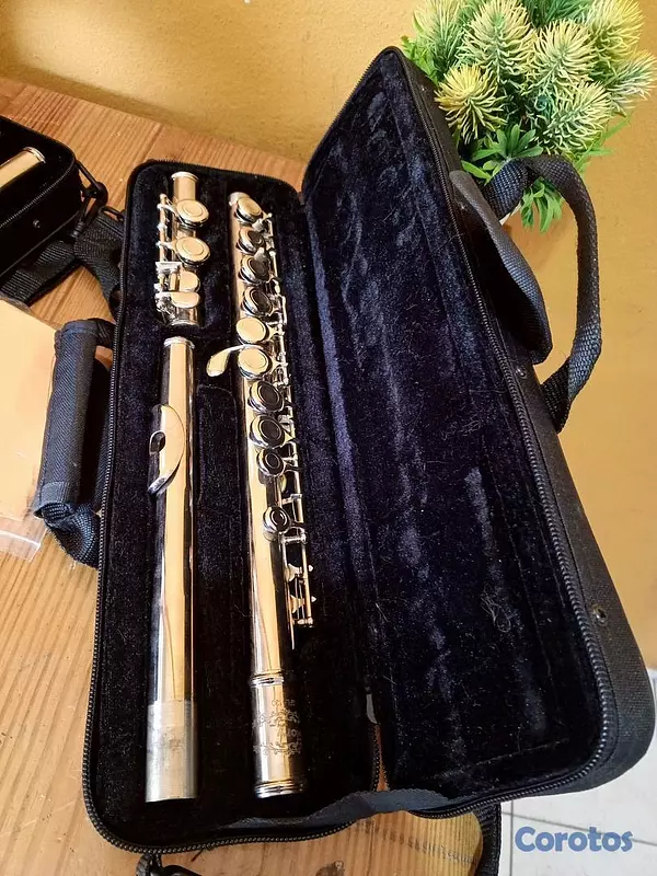 instrumentos musicales - Flauta transversa 2