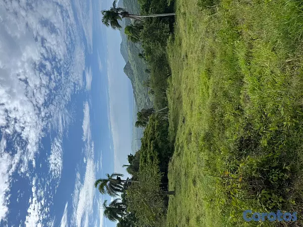 solares y terrenos - 🌿 Tropical Breeze Cupey – Proyecto Ecológico  10