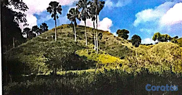 solares y terrenos - finca de 729 tareas en san José de las matas  10
