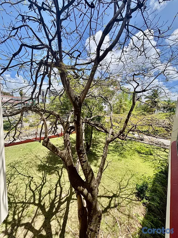 apartamentos - Apartamento de 2h en el embajador  11