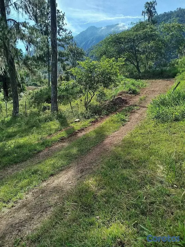 solares y terrenos - Solar en venta, en las Auyamas Constanza. con una vista espectacular! 4