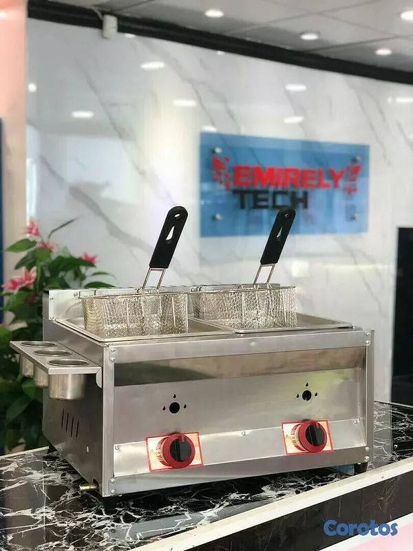 equipos profesionales - Freidora de gas de doble envase de 10 litros con escurridora para papa pollo 4