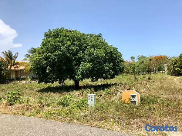 solares y terrenos - Remato Solar en Juan Dolio Guavaberry  4