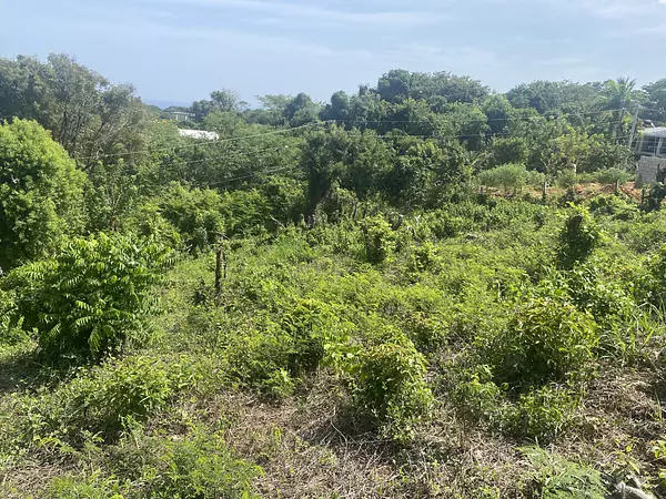 solares y terrenos - solar de venta en los cerros de Sosau  6