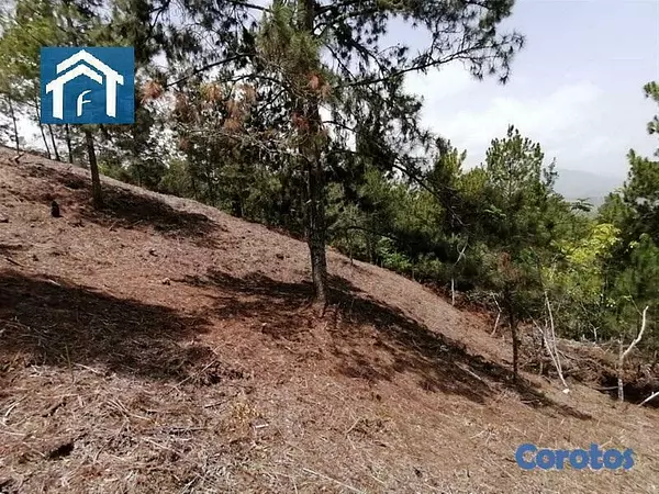 solares y terrenos - Solar en Constanza Rancho Guaraguao de 10591 metros 10
