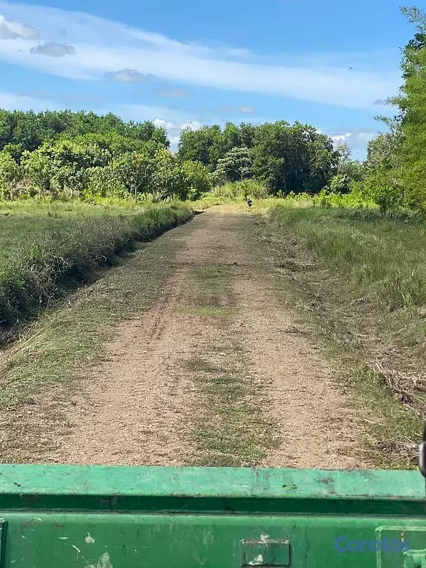 solares y terrenos - En Venta Finca Agricola y Ganadera en Carretera Bayaguana Guerra 9