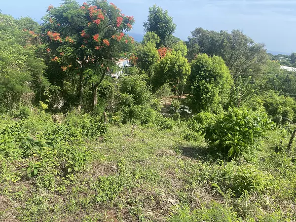 solares y terrenos - solar de venta en los cerros de Sosau  7