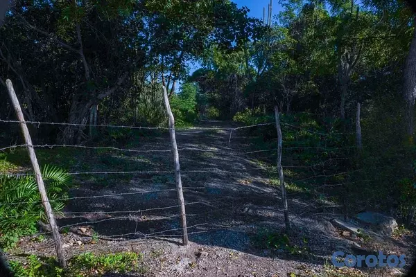 solares y terrenos - TERRENO EN VENTA EN BAHAHIBE - ZONA COSTERA DE REPÚBLICA DOMINICANA 2