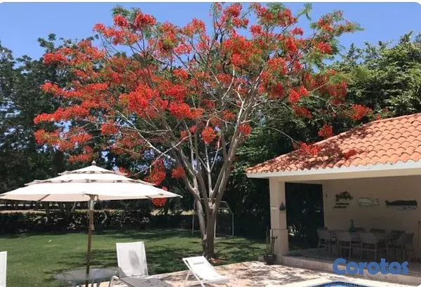 casas vacacionales y villas - Acogedora y espaciosa VILLA  5
