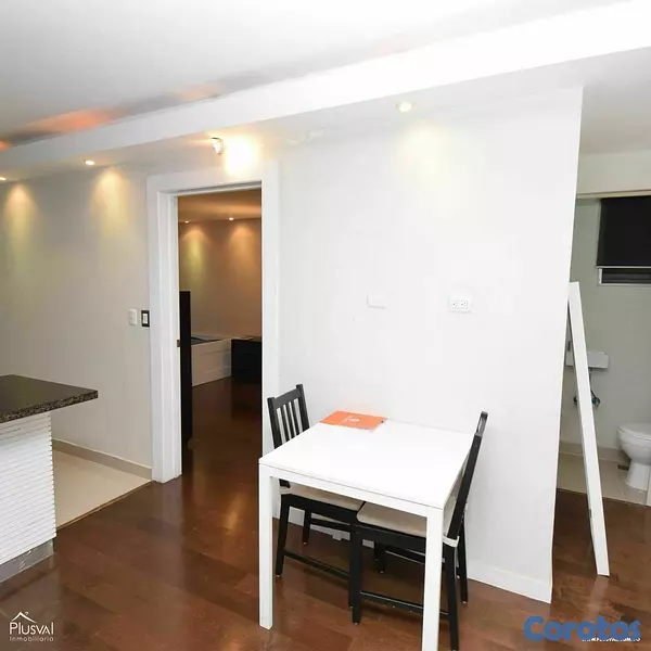 apartamentos - Práctico apartamento amueblado en Renacimiento 8