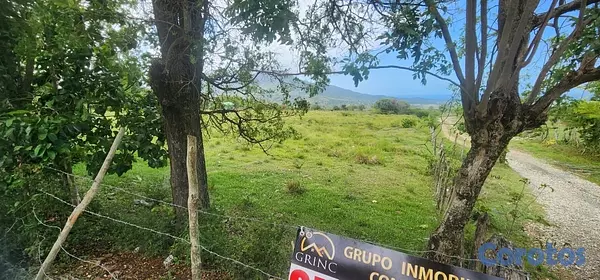 solares y terrenos - Solar en VENTA 15