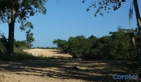 solares y terrenos - TERRENO EN VENTA EN BAHAHIBE - ZONA COSTERA DE REPÚBLICA DOMINICANA 3