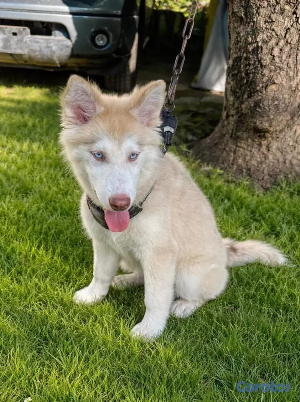 negocios en venta - VETERINARIA MONTERO 5