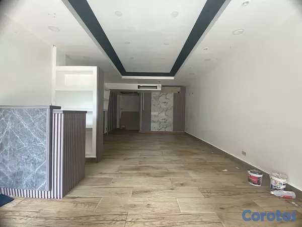 oficinas y locales comerciales - LOCAL COMERCIAL PIANTINI  2