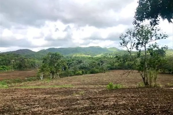 otros inmuebles - Vendo Finca en Monte Plata  9