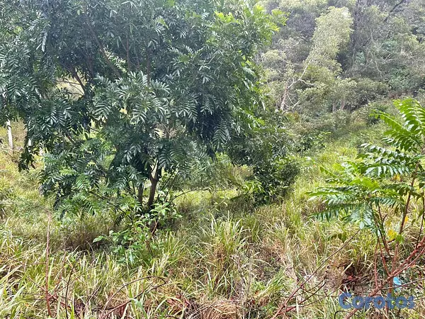 solares y terrenos - Terreno de Venta en San Jose de Las Matas 4