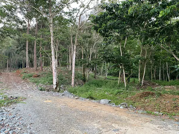 solares y terrenos - Terreno en venta en Mata de Platano  6