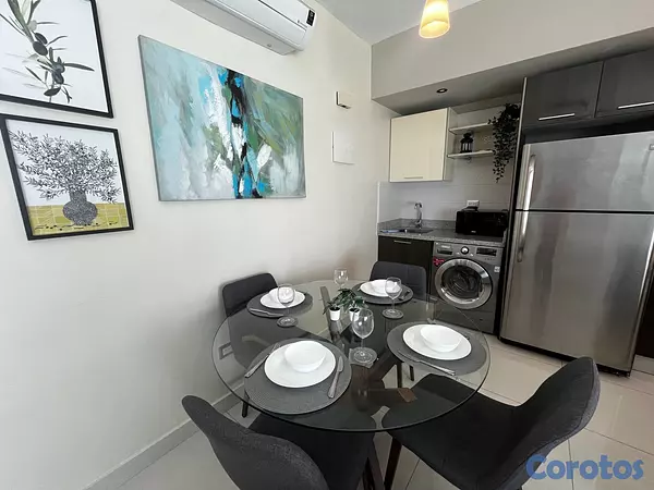 apartamentos - Apartamento en Alquiler en Piantini Amueblado de U 14