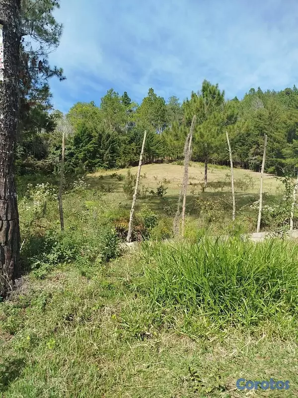 solares y terrenos - Solar en venta, en las Auyamas Constanza. con una vista espectacular! 2