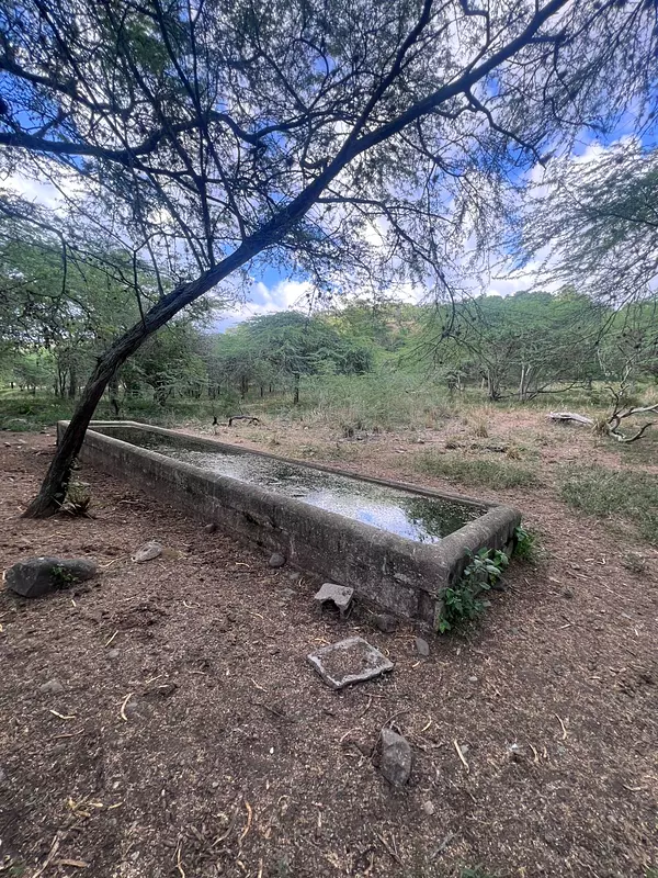 solares y terrenos - finca en Sajoma San José de las matas  5
