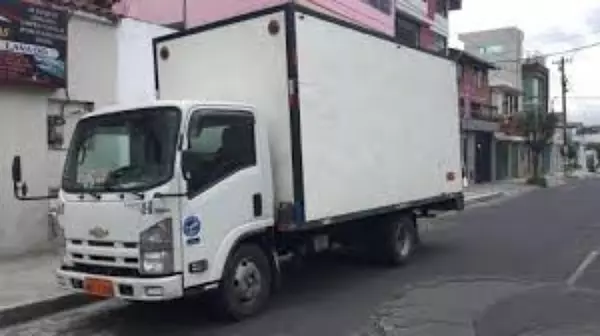 camiones y vehiculos pesados - MUDANZAS MALECON 5