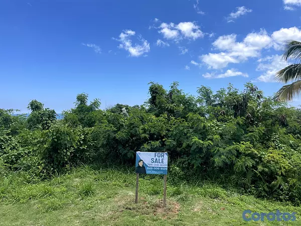 solares y terrenos - Oportunidad de inversión en Las Terrenas, Samaná. 8