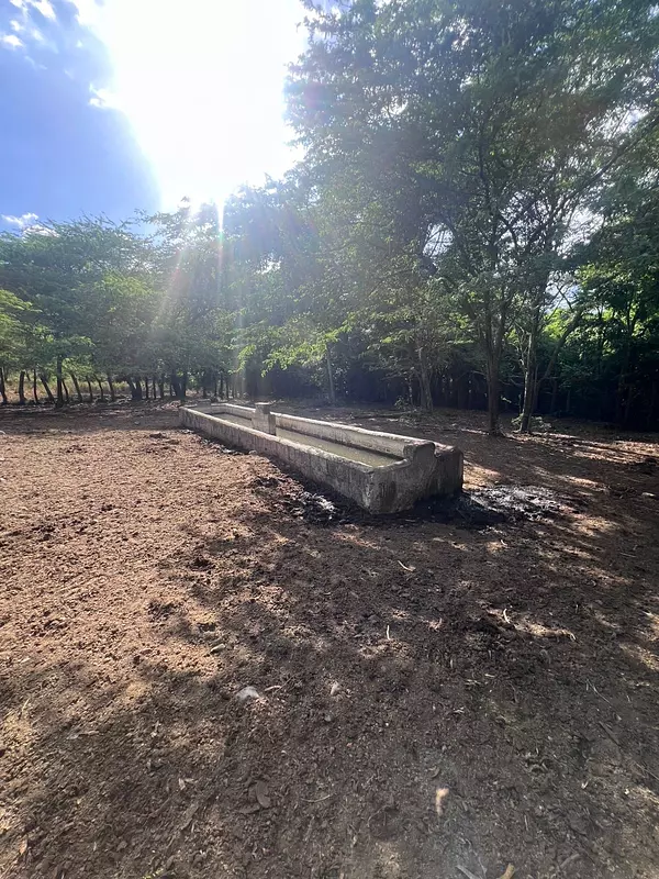 solares y terrenos - finca en Sajoma San José de las matas  7