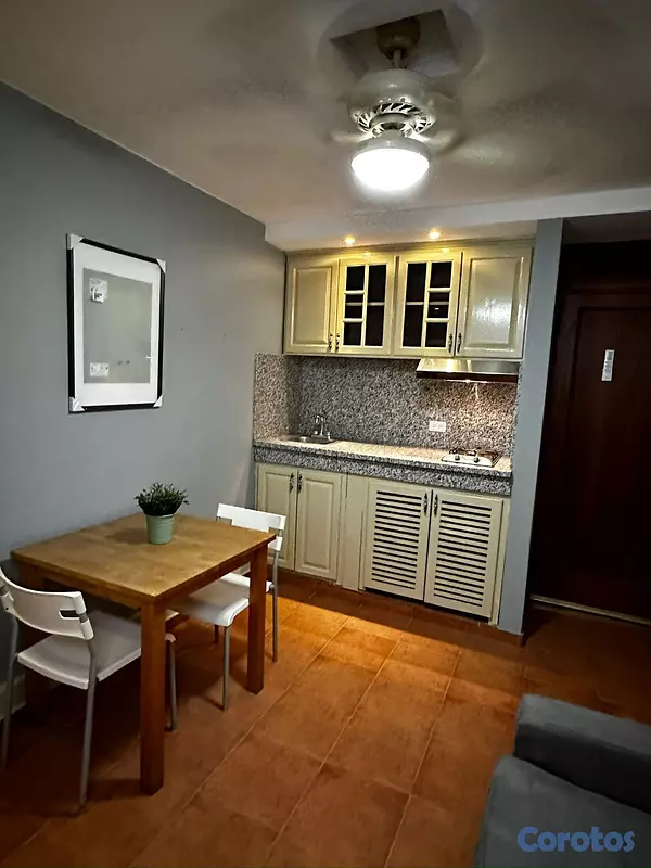 apartamentos - Apartamento amueblado en gazcue  2