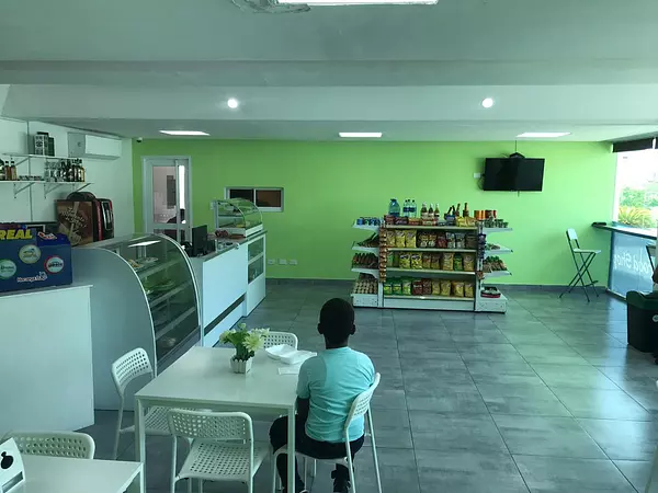otros inmuebles - Estación de gasolina en Bani  8