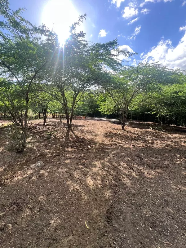 solares y terrenos - finca en Sajoma San José de las matas  8