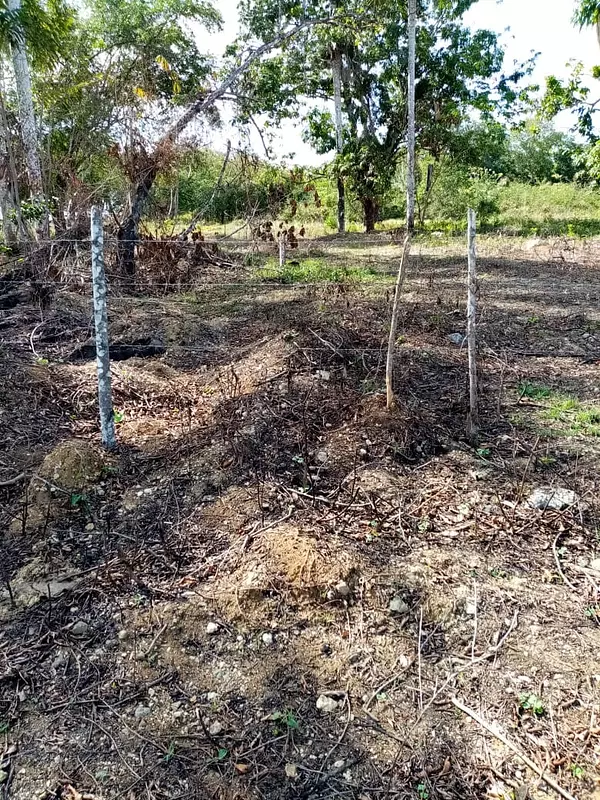 solares y terrenos - SOLAR DE 60,000 METROS CIRCUNVALACION/ CON LA VICTORIA  1