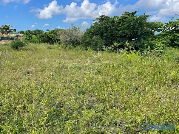 solares y terrenos - Terreno en venta Manoguayabo 1