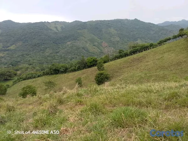 solares y terrenos - finca de 450 tareas con vocación ganadera en yamasa  5