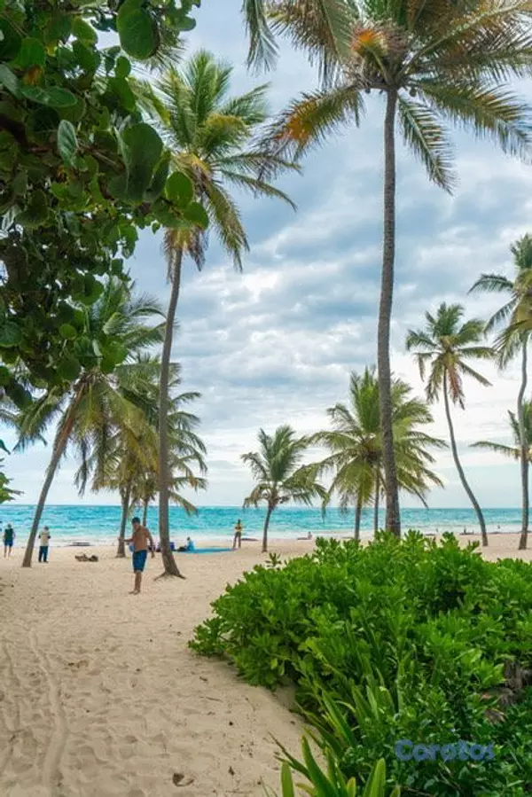 apartamentos - APARTAMENTO PUNTA CANA SWIN UP, PADEL, GOLF Y  CER 8