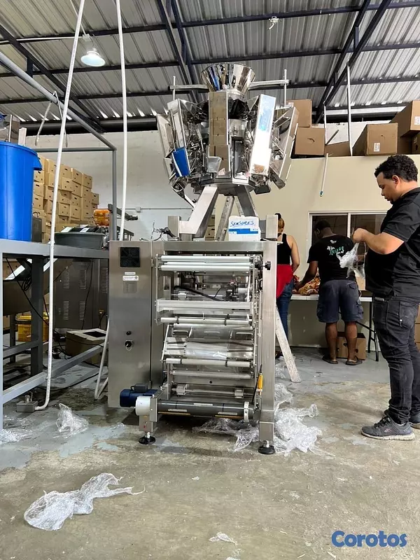equipos profesionales - Máquina Empacadora Automática Multicabezal industrial acero inoxidable 5