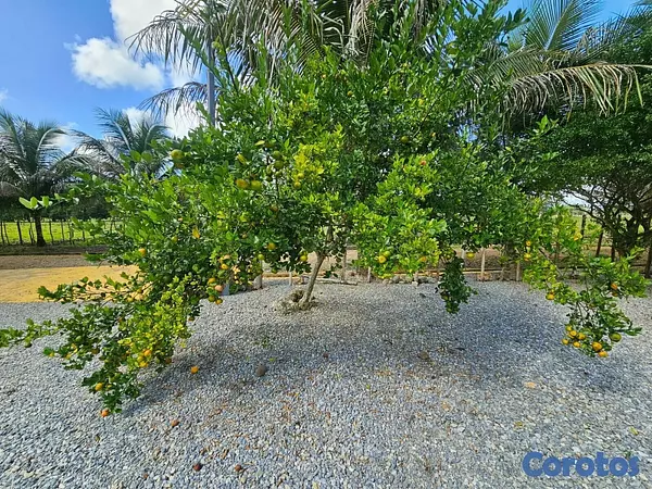 solares y terrenos - Gran Finca Ganadera en San Francisco de Macoris de 18
