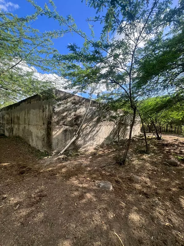 solares y terrenos - finca en Sajoma San José de las matas  9